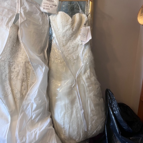 Wedding Gowns - Picture 7 of 11